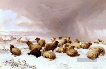 Schaf im Winter Bauernhof Tiere Thomas Sidney Cooper Ölgemälde